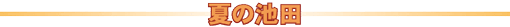 �Ă̒r�c