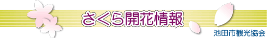 ページタイトル:五月山さくら開花情報