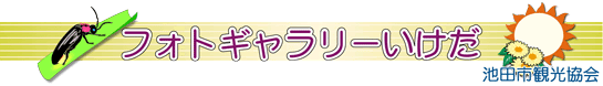 �t�H�g�M�������[������