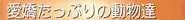 �{�����e�B�A�K�C�h
