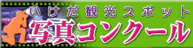 �o�i�[�F�ʐ^�R���N�[��