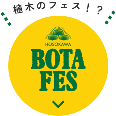 BOTA FES