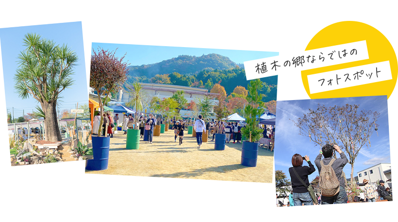 植木の郷ならではのフォトスポット