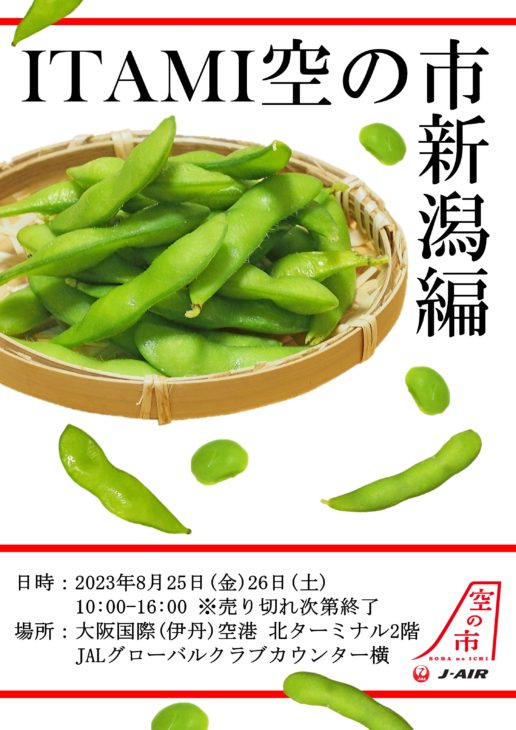 【8/25-26】『ITAMI空の市　新潟編』開催