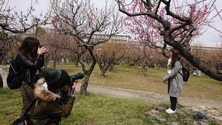 うまいde池田×カメラガールズ