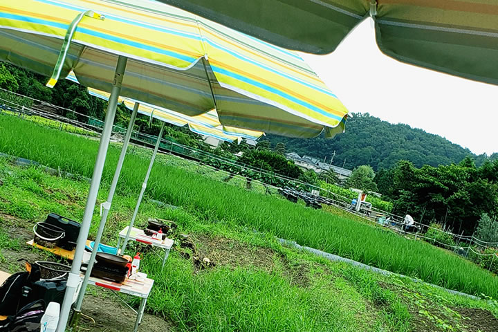 畑で朝ごはん 会場