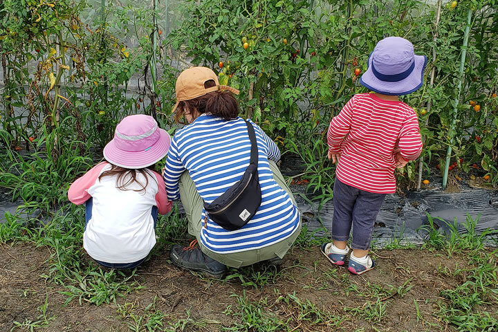 親子で楽しめる自然体験