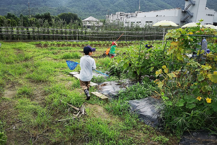 虫取りをする子どもたち