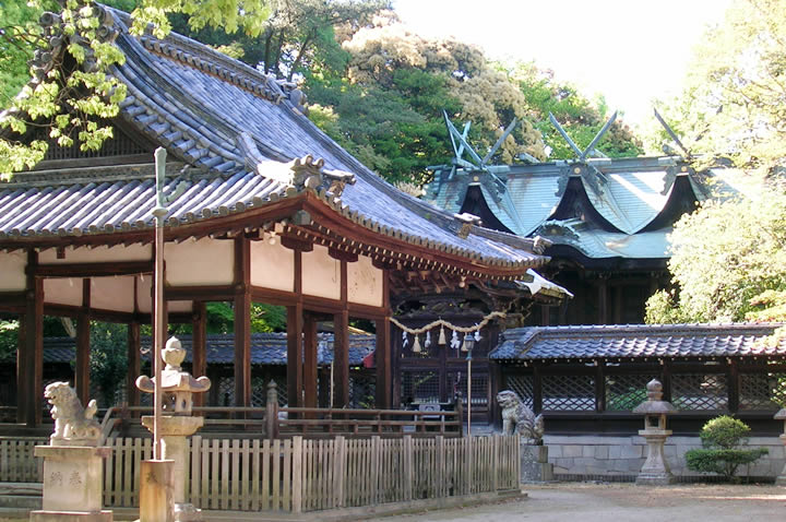 伊居太神社