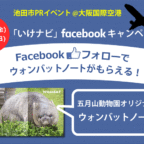 4/12(金)～14(日)　大阪国際空港で『ウォンバットノート』をもらおう！