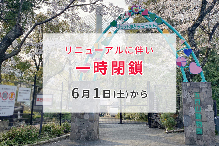 【6/1から】五月山動物園 リニューアルに伴い一時閉鎖