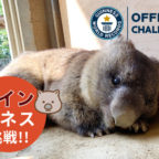 【ギネス世界記録への挑戦!】ウォンバット「ワイン」ギネス世界記録™記念式典開催!