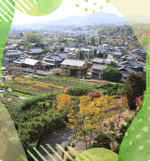 細河の俯瞰写真