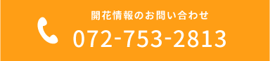 開花情報のお問い合わせ