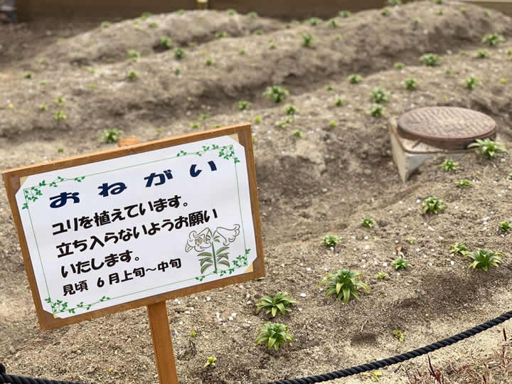 池田城跡公園