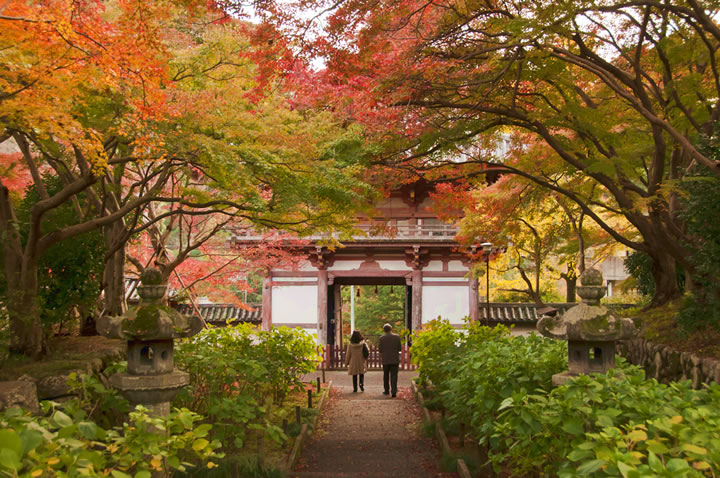 楼門と紅葉