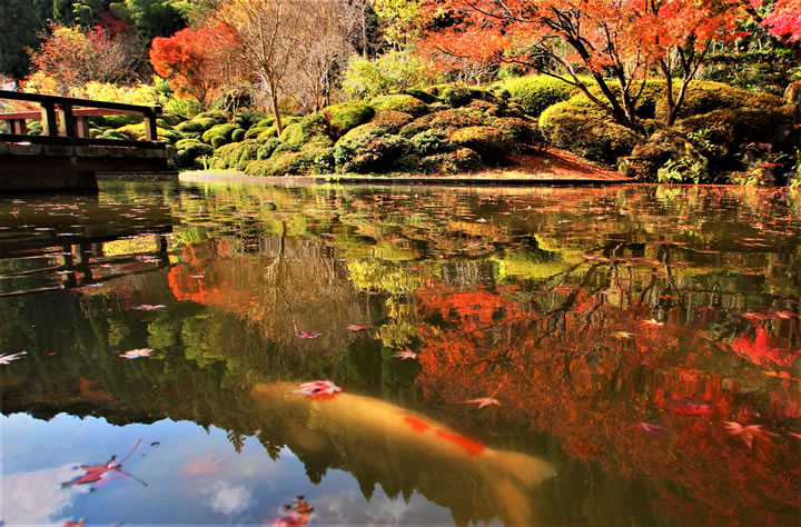 バンジ池と紅葉
