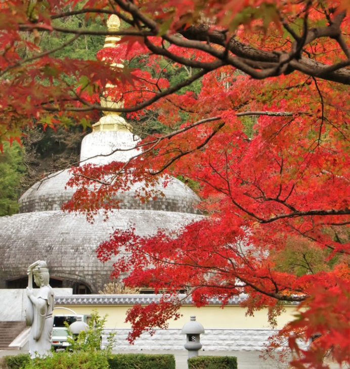 もみじの紅葉