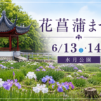 【6/13-14】『 花菖蒲まつり』初夏の水月公園で野点や親子イベントを楽しもう！
