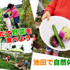 【親子で！】池田で楽しめる無農薬野菜の収穫&調理体験「畑で朝ごはん」