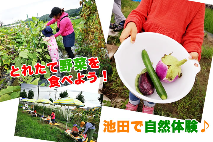 親子で！】池田で楽しめる無農薬野菜の収穫&調理体験「畑で朝ごはん」