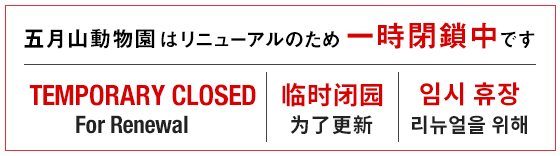 五月山動物園はリニューアル工事のため、令和6年6月1日から一時閉鎖中です。