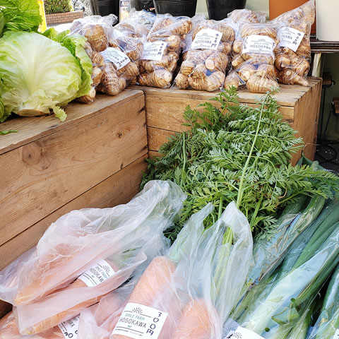 細河地域で採れた無農薬野菜①