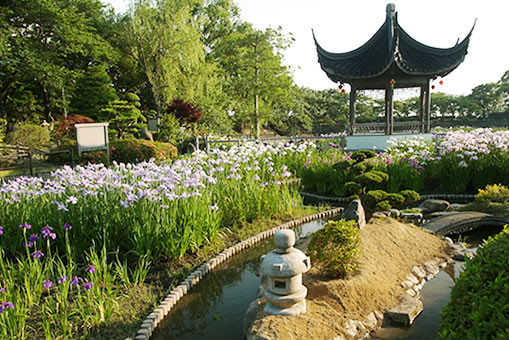 Suigetsu Park4