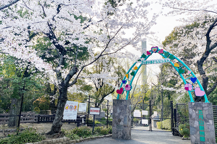 五月山の桜 (動物園前)