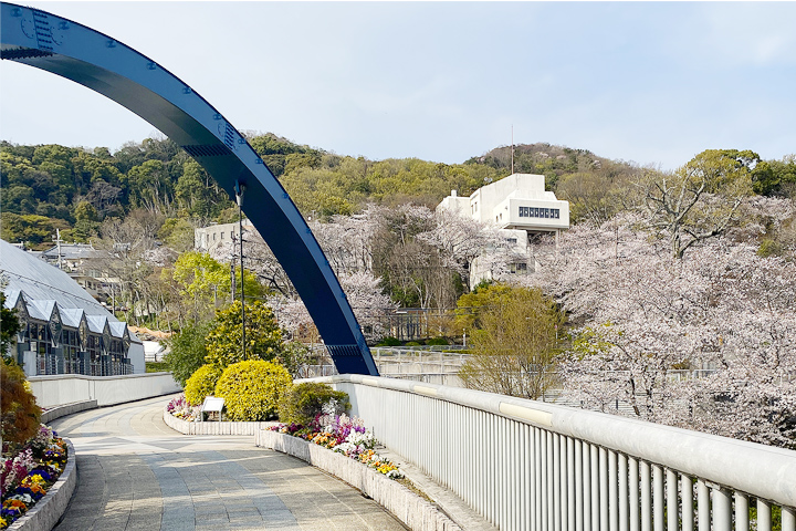 五月山の桜 (児童文化センター)