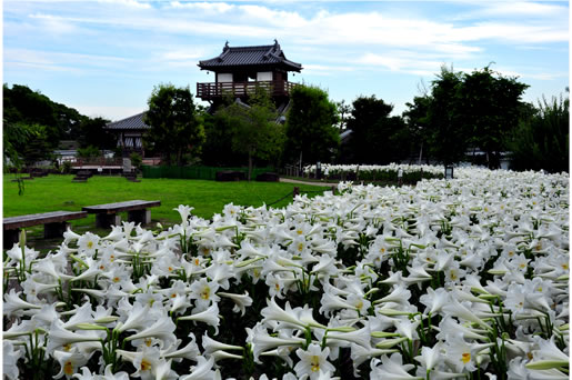 池田城跡公園