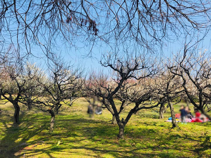 池田市水月公園