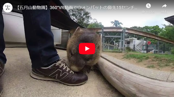 360°VR動画